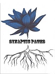 Synaptic Paths
